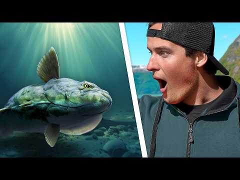 GIANTS FROM THE DEEP – We encountered the monsters of the sea in Norway!