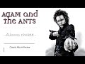 Adam The Ants Albums Ranked Worst To Best