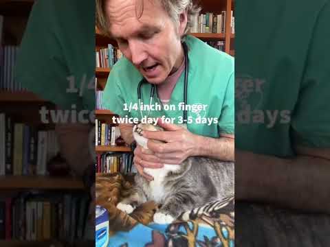 Hairball Remedy for Cats