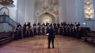 Alleluia (Eric Whitacre) - Sofia Vokalensemble