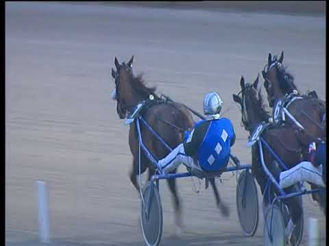 Trotto 31/12/2017 - 4ª corsa