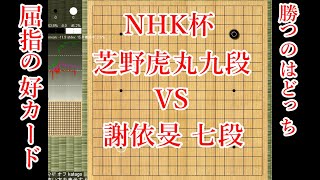【NHK杯】芝野虎丸九段 vs 謝依旻七段【囲碁】