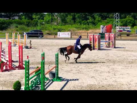 Manuel Albano - Hydra Stable Dynamite Napoleon ( Lordanos x Balou du Rouet)
