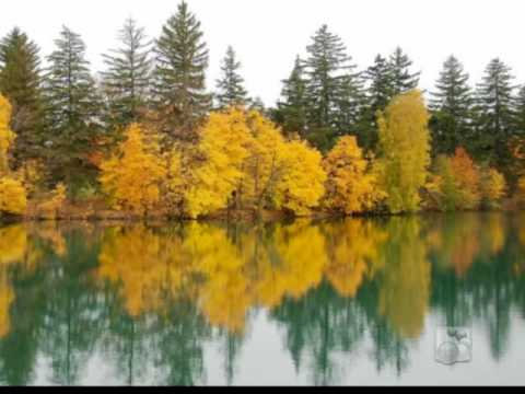 Poklonit cu ti jesen svog zivota - Drago Diklic