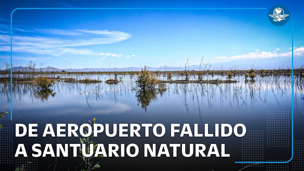 Lago de Texcoco revive: de aeropuerto fallido a santuario natura