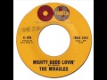 THE MIRACLES - Might Good Lovin' [Tamla 54044] 1961