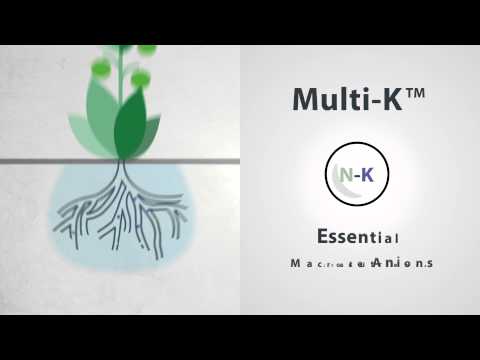 Potassium Nitrate Fertilizer & Formula - Multi-K - Haifa Group