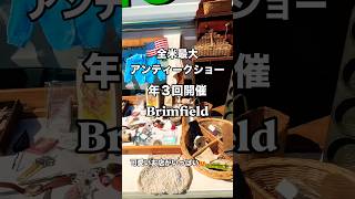 🇺🇸全米最大アンティークショー✨広すぎて1日では廻りきれない💦#アメリカ生活 #アメリカ子育て #アンティークショップ