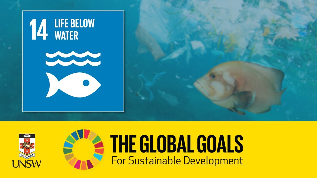 Sustainable Development Goal 14 - Life Below Water - Tracey Rogers