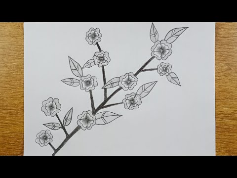 How to draw beautiful flowers sketch | STEP-BY-ATEP |