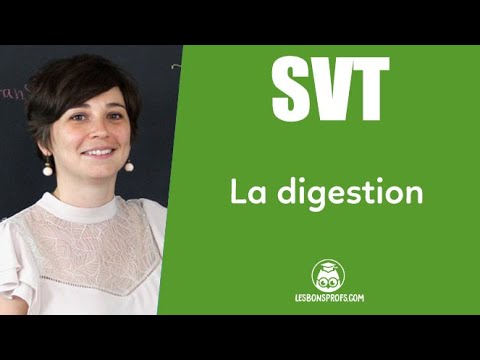 La digestion