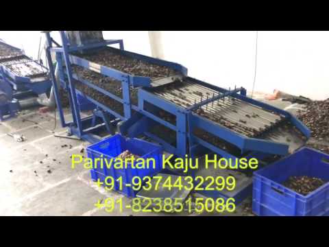Automatic cashew cutting machine by parivartan kaju house