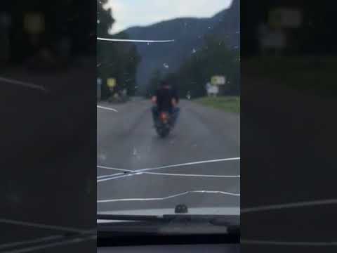 Корову жалко