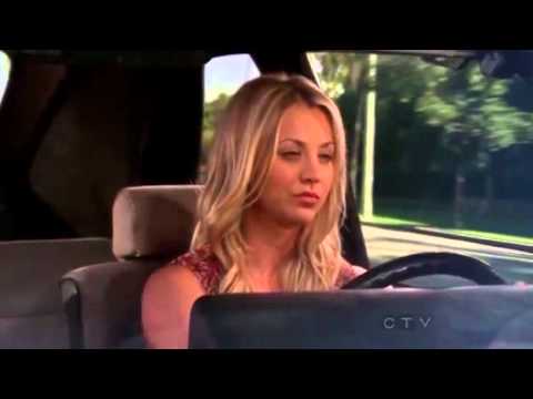 Big Bang Theory - Prefrontal Cortex vs Limbic System