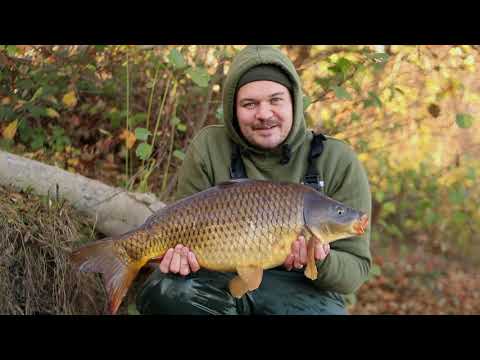 Dreambaits präsentiert: Stefan Wirtz - Flexibel auf Karpfen im Winter