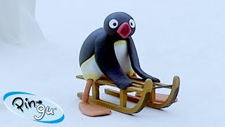 Pingu Causes Trouble 🐧 | Pingu - Official Channel | Cartoons For Kids