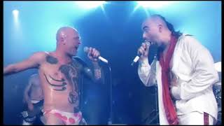 Weg nach unten DVD 2008 - 14. GV