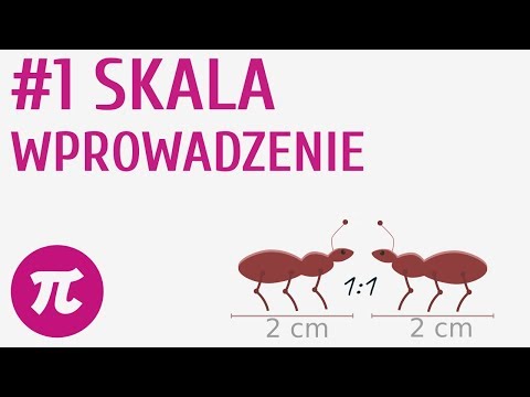 Skala - wprowadzenie #1 [ Skala - wprowadzenie ]
