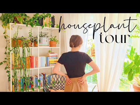 Summer 2025 Houseplant Tour