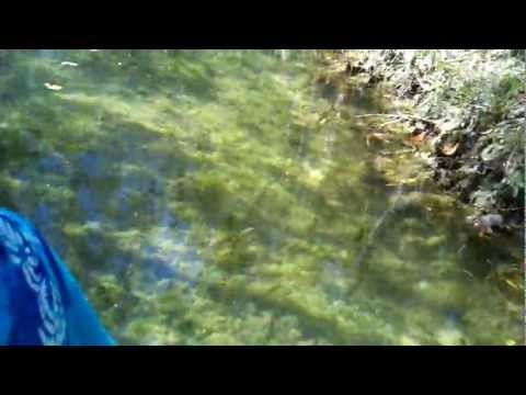 San Crisanto Mangrove Tour