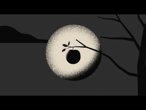 Wyldest - Hungry for You to Know (Official Video)