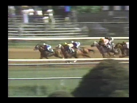 1987 Derby Trial Stakes : ABC Broadcast
