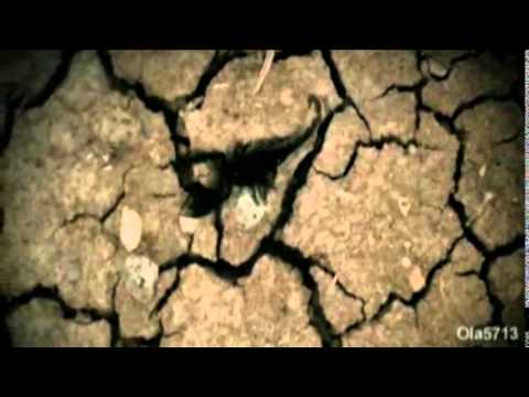 The King ft. Akrep1 - Nata Jone