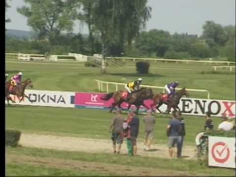 LL, 6. 7. 2017, 3. dostih - STEEPLECHASE AUTO OPAT