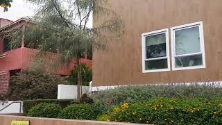 Clues to Successful Garden Plantings