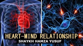 Heart-Mind Relationship In Islam - Shaykh Hamza Yusuf