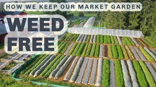 WEED FREE MARKET GARDENING (Our no dig approach)