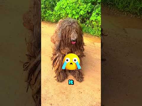 This Cabinet Was Hiding Something 😱🚪