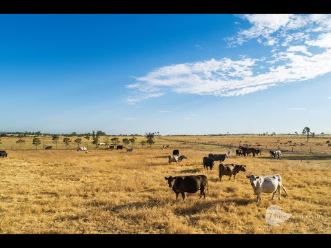 591 Muchea South Road, Muchea, WA 6501, 4 રૂમ, 2 બાથરૂમ, House