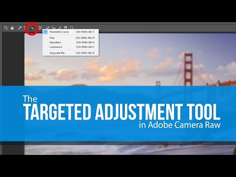 The Targeted Adjustment Tool in ACR