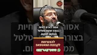 כל אחד חייב לקנות דירה! (הרב אייל עמרמי) - התמונה מוצגת ישירות מתוך אתר האינטרנט יוטיוב. זכויות היוצרים בתמונה שייכות ליוצרה. קישור קרדיט למקור התוכן נמצא בתוך דף הסרטון