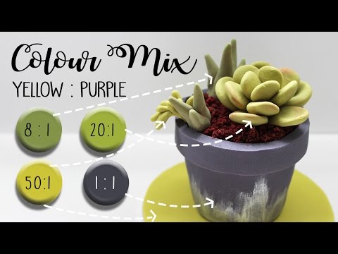 Sharon Wee - Succulent mini cake using only yellow and purple