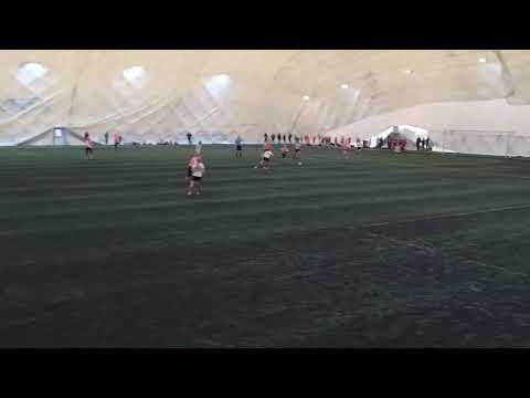 Hippo 2021 ONS08 yj1-GBK/LoVe yj