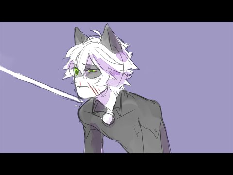 Black Cat Sly Fox Who Will Win Yn Heart Chapter 11