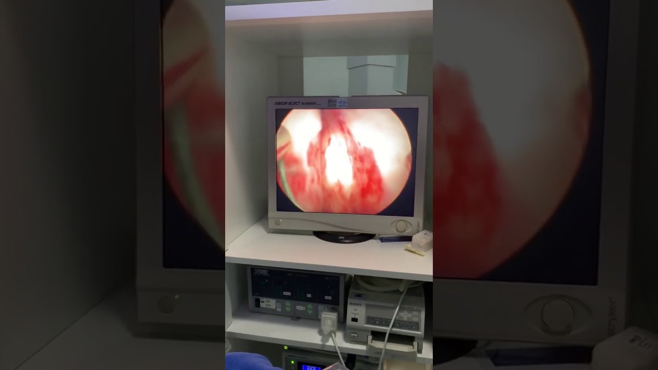 Leandro Coelho Dorea Santos-6