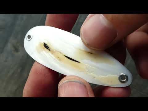 White Tiger Perlmutt Tropfen / Art.Nr.TPT3