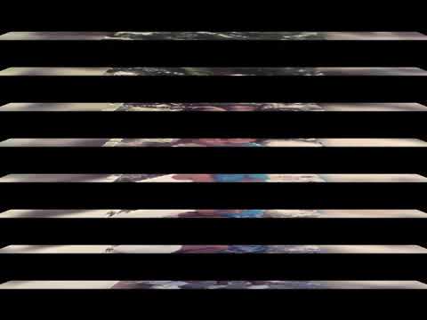 Happy birthday Gizmo