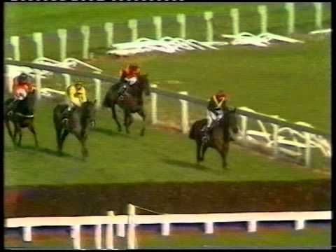 1980 Christie's Foxhunter Chase Challenge Cup