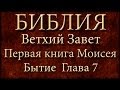 Библия.Ветхий завет.Первая книга Моисея Бытие.Глава 7. 