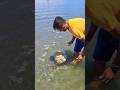 Ram Setu Dhanushkodi Rameshwaram Tamilnadu Ramsetu Rameshwaram Tamilnadu India