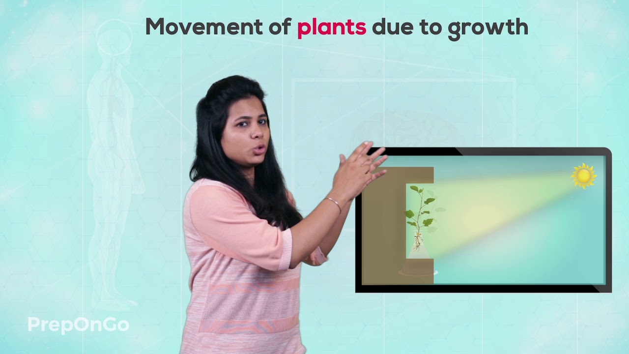 Control and Coordination - 8 | Control and Coordination in plants | Movement due to Growth |Class 10
