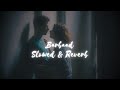 Barbaad Slowed Reverb Jubin Nautiyal Rishabh Kant Saiyaara Ahaan Panday Barbaad Lofisong