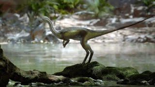 Instinction - Announcement Trailer