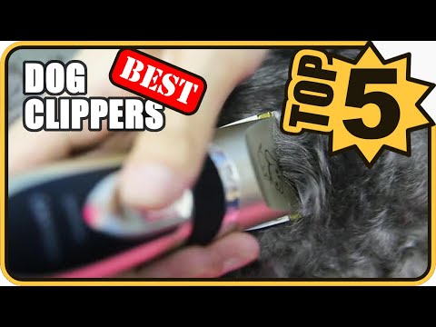💜Top 6 Best Dog Clippers For Professional & Home...