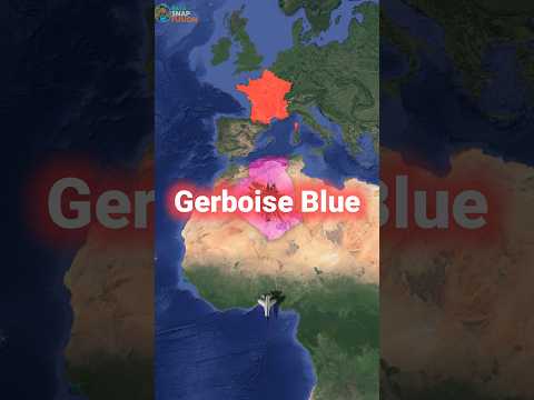 France Nuked Algeria for Power 😱🇫🇷🇩🇿 #france #nuclearpower #history #worldfacts