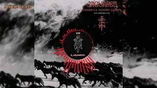 jaguares: el aislamiento.